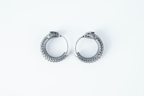 a pair of silver hoop earrings on a white background